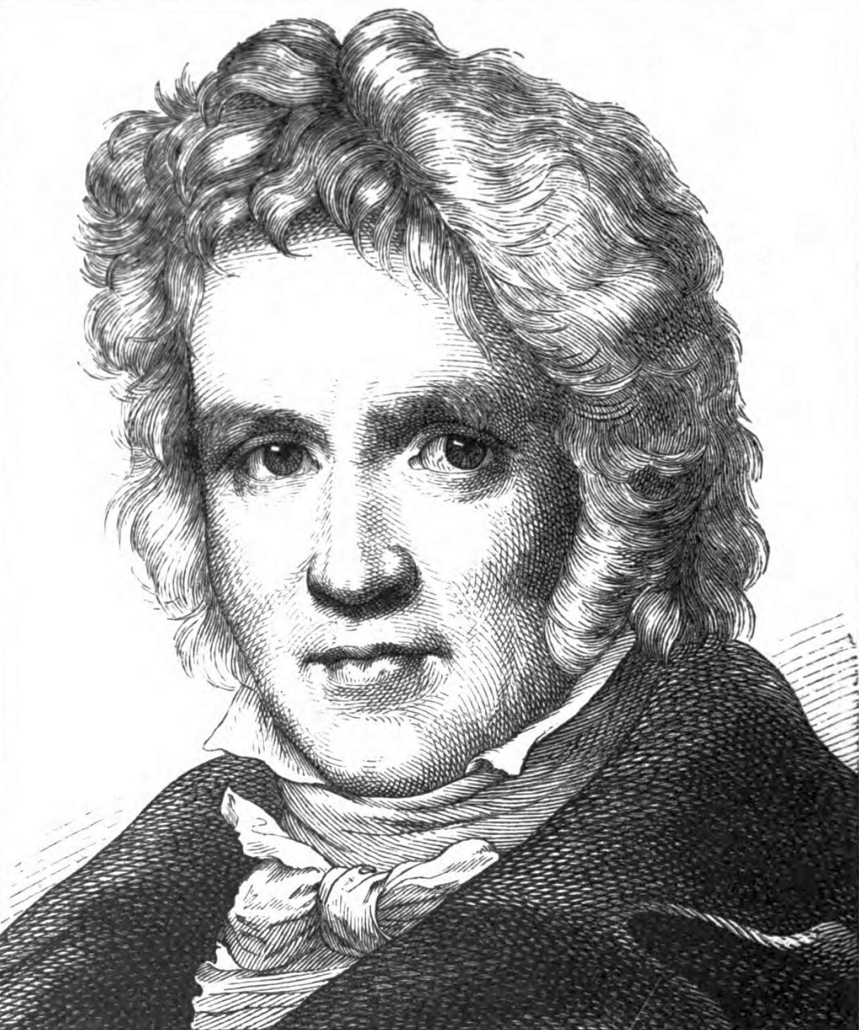 Portrait of Friedrich Wilhelm Bessel